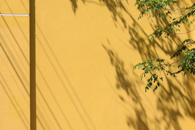 Low angle view of yellow shadow on wall