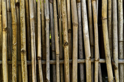 Full frame shot of bamboo fence