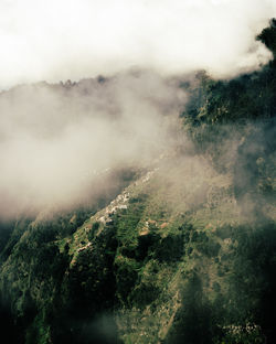 High angle view of trees on landscape against sky