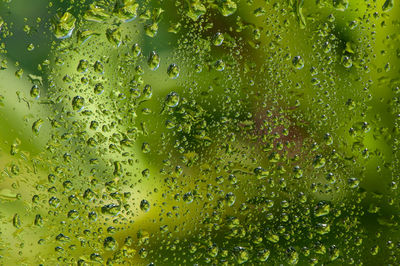 Full frame shot of wet glass