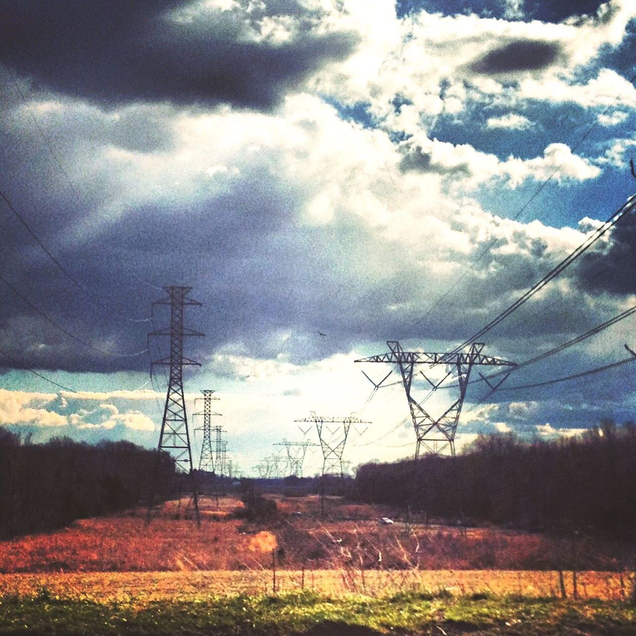 sky, cloud - sky, tree, no people, nature, electricity, scenics, tranquility, outdoors, technology, tranquil scene, day, electricity pylon, landscape, beauty in nature