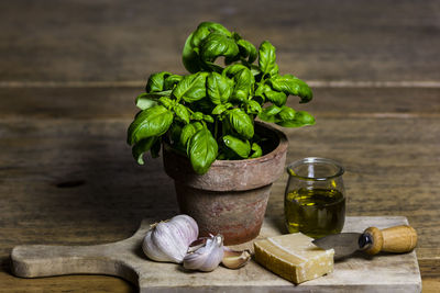 Potted plant and food on cutting board at table