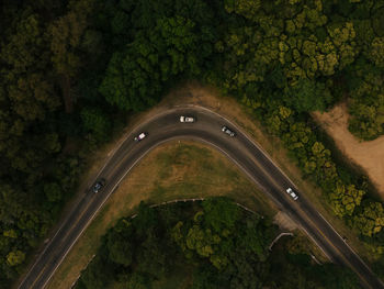 High angle view of road amidst trees in forest