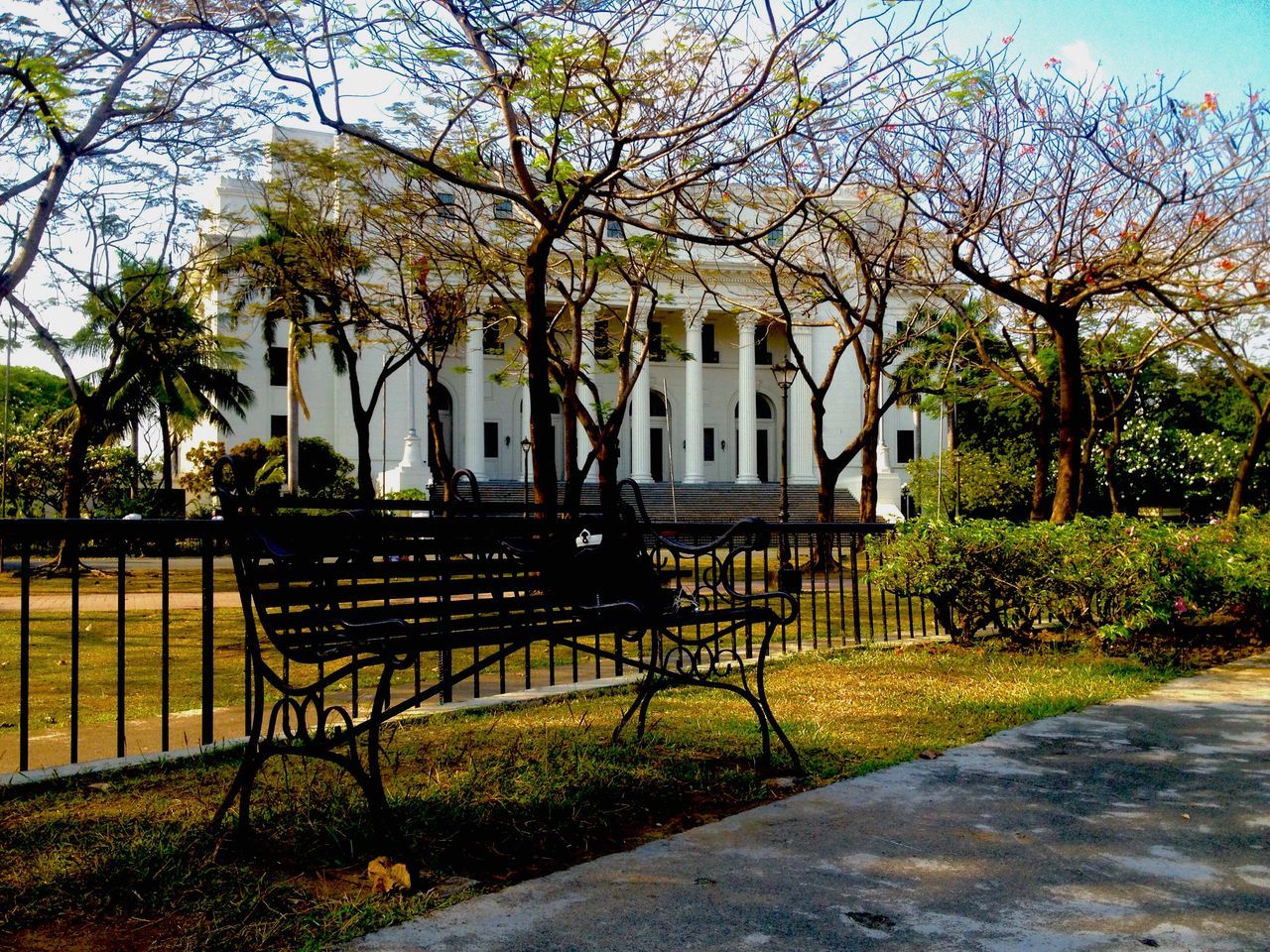 tree, building exterior, built structure, bench, architecture, grass, park - man made space, park bench, empty, branch, growth, absence, lawn, sunlight, park, chair, footpath, day, nature, outdoors