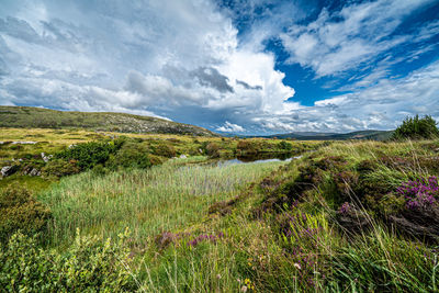 Scenic view of landscape against sky