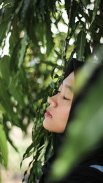 Close-up of woman hand with leaves