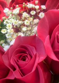 Close-up of rose bouquet