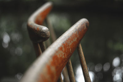 Close-up of snail on metal railing