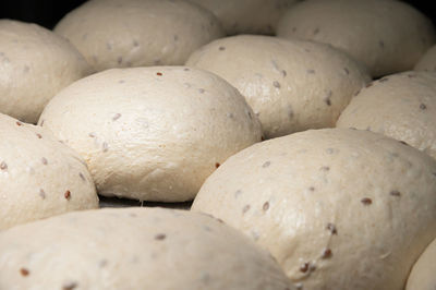 The uncooked round buns of dough are placed on a metal tray. hamburger bun dough