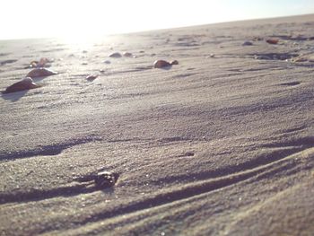 Close-up of sand on beach against sky