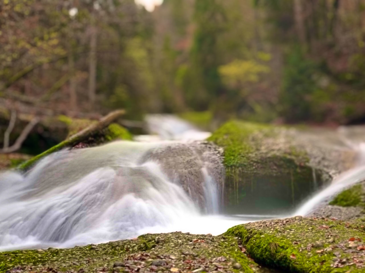 WATERFALL IN FOREST