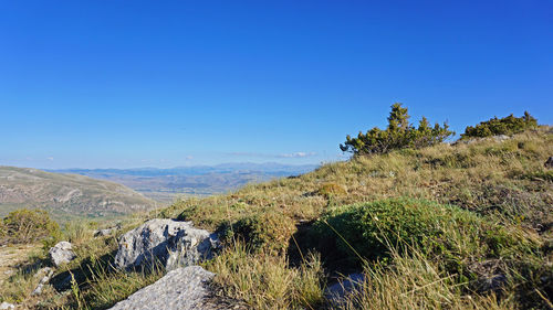 Scenic view of landscape against clear blue sky