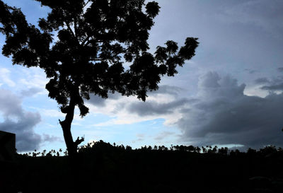 Low angle view of silhouette trees against sky