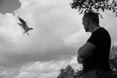 Low angle view of seagull flying against sky