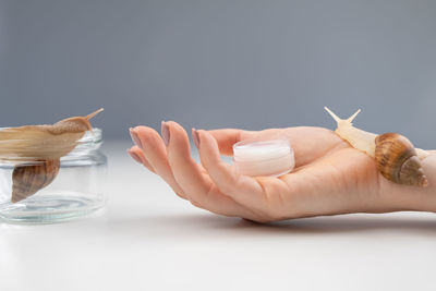 Close-up of hand holding bird against white background