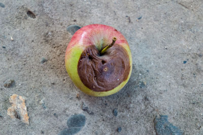 High angle view of apple on sand