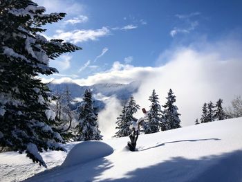 Trees by snowcapped mountain against sky