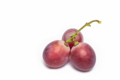 Close-up of apple against white background