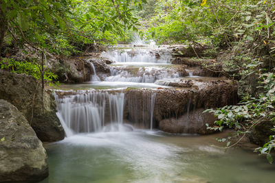 Scenic view of waterfall in forest