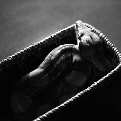 Close-up of rope on metal