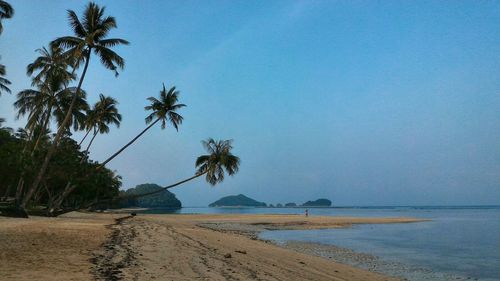 Scenic view of beach against blue sky