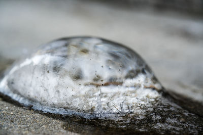 Close-up of water