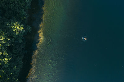 Summer landscape of a forest lake. a man swims alone and enjoys a warm day
