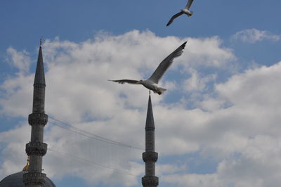 Low angle view of seagull flying in sky