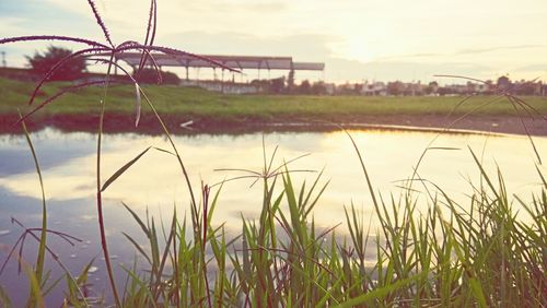 Scenic view of grassy field against cloudy sky