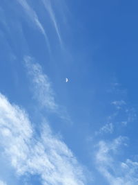Low angle view of a blue sky