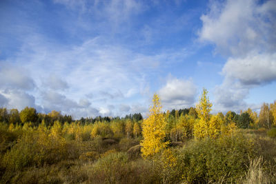 Scenic view of green landscape against cloudy sky