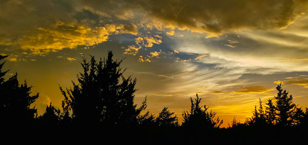 Low angle view of silhouette trees against sky during sunset