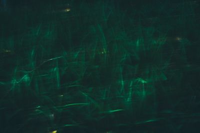 Close-up view of night