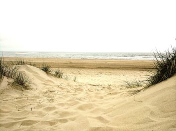 Scenic view of beach against clear sky