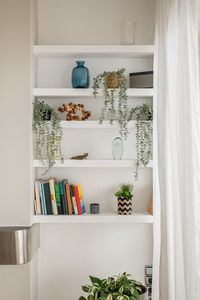 Potted plants on table at home