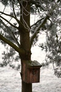 Low angle view of birdhouse on tree