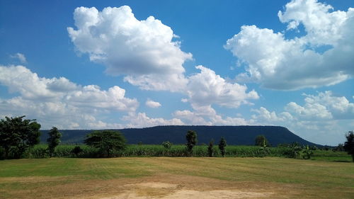 Scenic view of agricultural field against sky