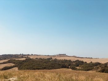 Scenic view of agricultural field against clear blue sky