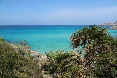 Scenic view of sea against clear sky