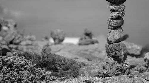 Close-up of leaf against sky