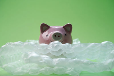 Close-up of stuffed toy over green background