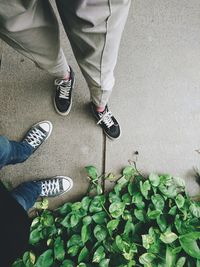 Low section of man standing by plants