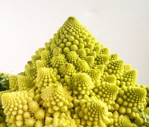 Close-up of green beans against white background