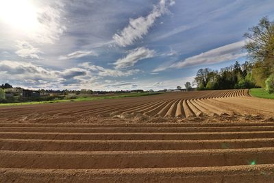 Agricultural field against sky