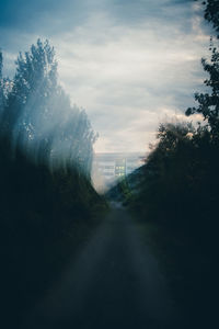 Road amidst trees against sky