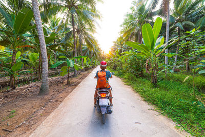 Rear view of man riding motorcycle on road