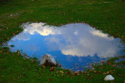 Reflection of clouds in puddle