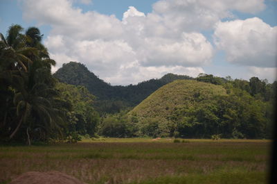 Trees on field against sky