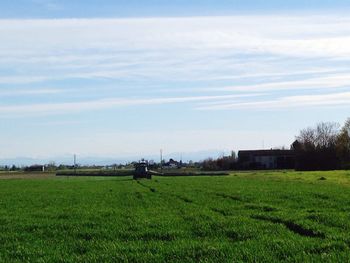 Scenic view of grassy field against sky