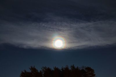 Low angle view of silhouette trees against sky at sunset